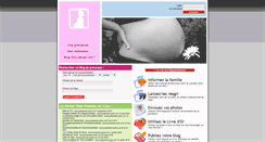 Desktop Screenshot of chouchouetloulou.blog-grossesse.com